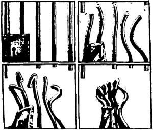 Prison-bars1